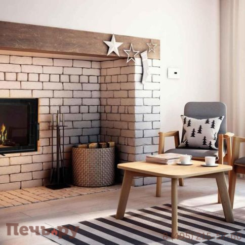 Каминная топка Kratki Pro MBM/PW/10/W фото 2