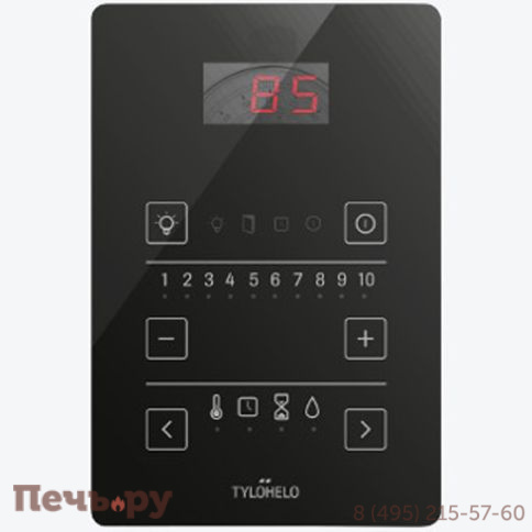 Панель управления Tylo Pure фото